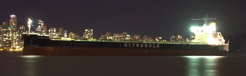 ULTRA LION Bulk Carrier IMO 9676113