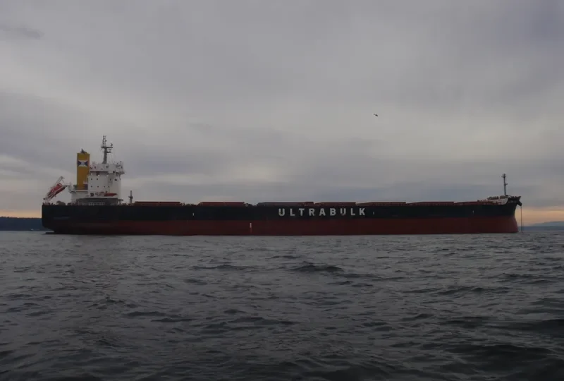 ULTRA LION Bulk Carrier IMO 9676113 photo 2