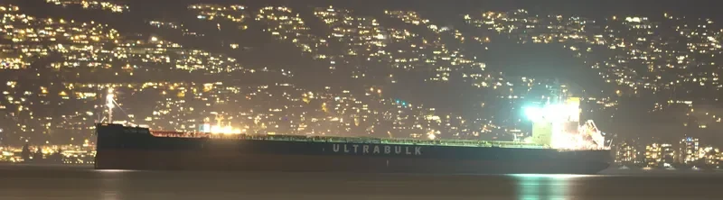 ULTRA LION Bulk Carrier IMO 9676113 photo 3