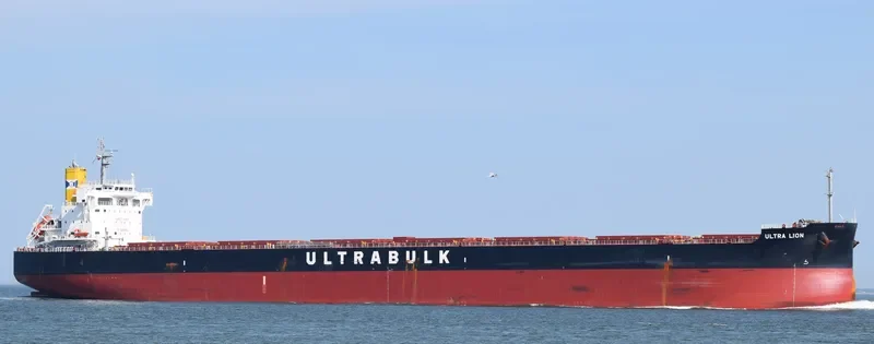 ULTRA LION Bulk Carrier IMO 9676113 photo 4