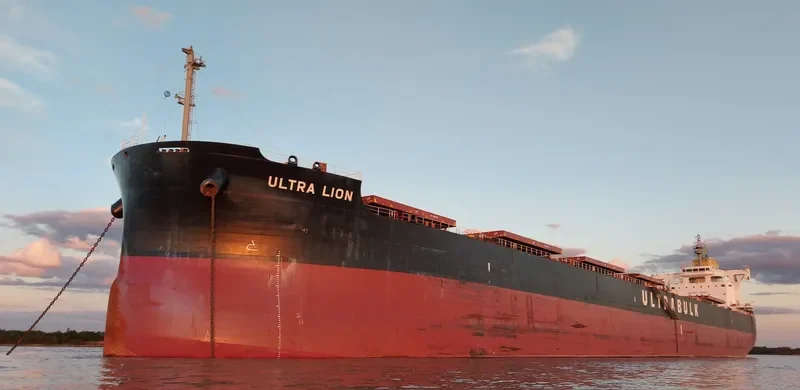 ULTRA LION Bulk Carrier IMO 9676113 photo 6