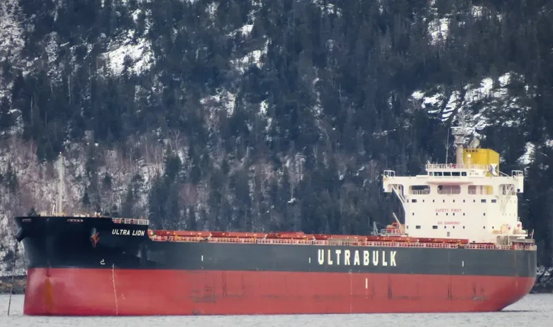 ULTRA LION Bulk Carrier IMO 9676113 photo 7