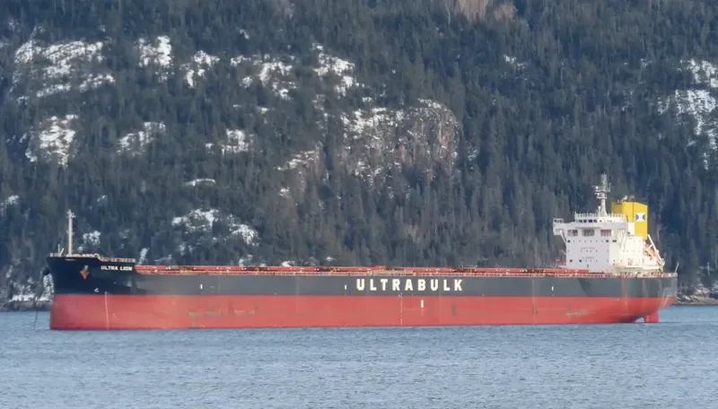 ULTRA LION Bulk Carrier IMO 9676113 photo 8