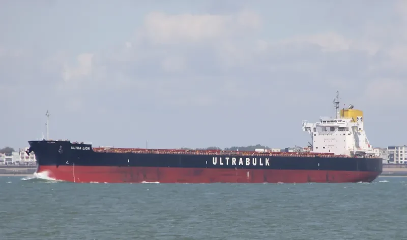 ULTRA LION Bulk Carrier IMO 9676113 photo 9