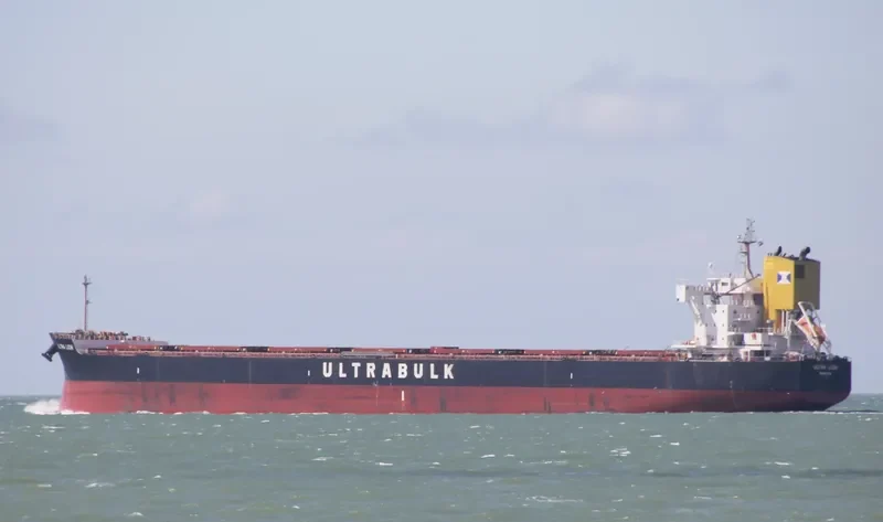 ULTRA LION Bulk Carrier IMO 9676113 photo 10