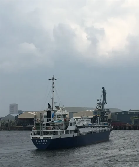 SHINKOUMARU NO5 General Cargo IMO 9676450