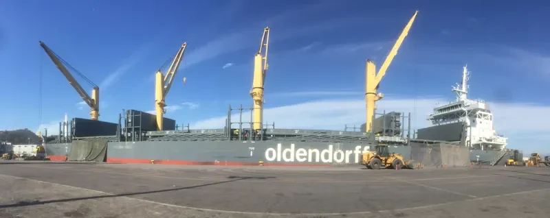 EMMA OLDENDORFF General Cargo IMO 9676606 photo 7