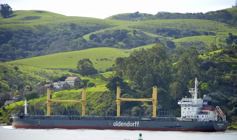EMMA OLDENDORFF General Cargo IMO 9676606 photo 10