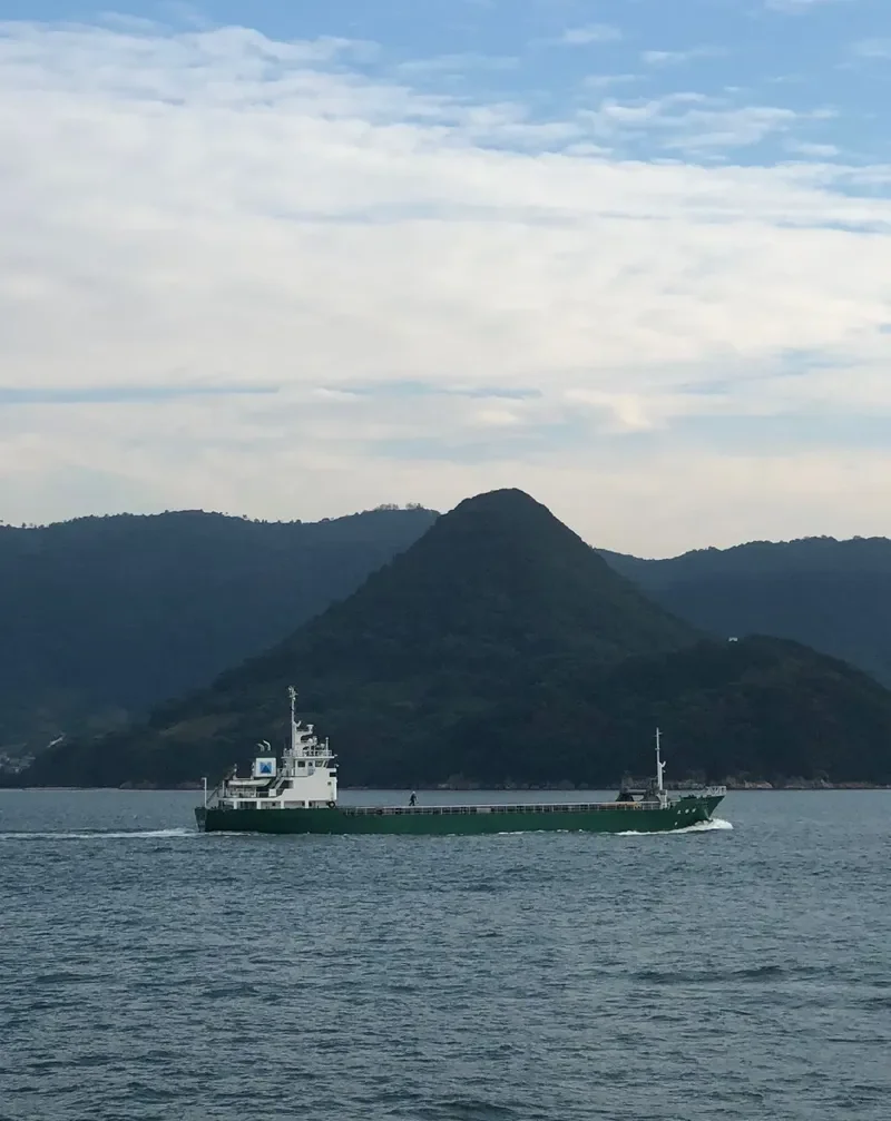 SUMIHO MARU General Cargo IMO 9676694 photo 9