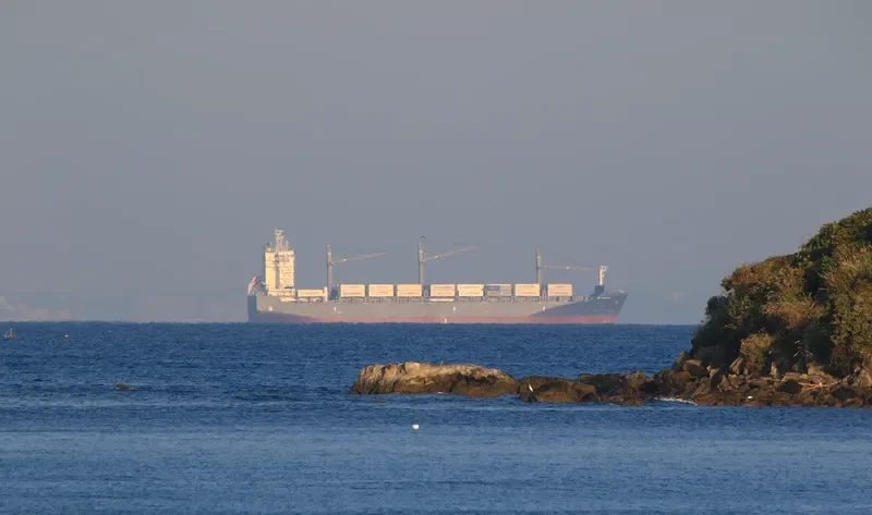 MIA SCHULTE Container Ship IMO 9676735 photo 9