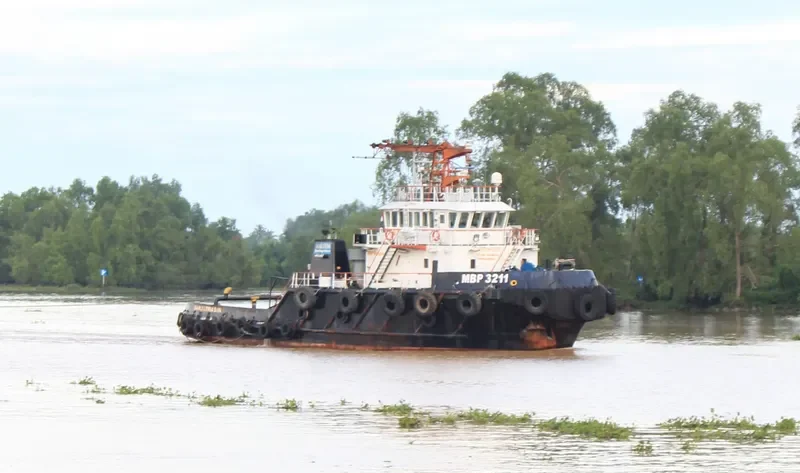 MBP 3211 General Cargo IMO 9676814