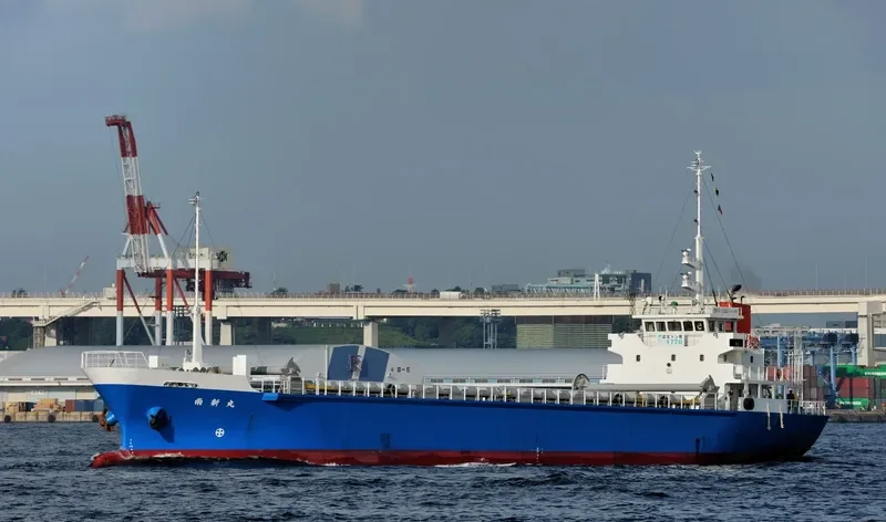 NANSHIN MARU General Cargo IMO 9677155 photo 2