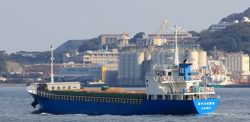 DAINICHI MARU NO.12 General Cargo IMO 9677234