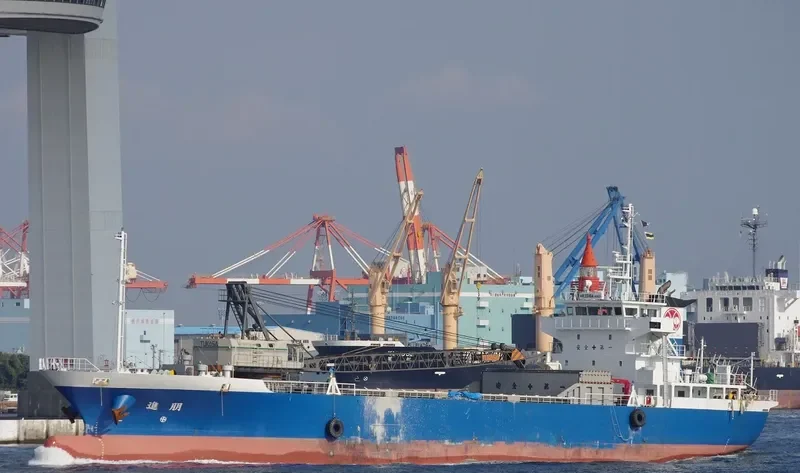 SHINHO General Cargo IMO 9677260 photo 2