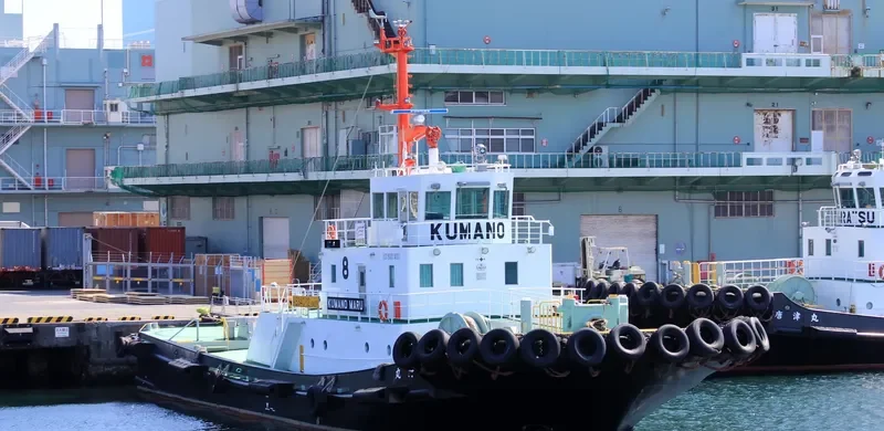 KUMANO MARU General Cargo IMO 9677301 photo 4