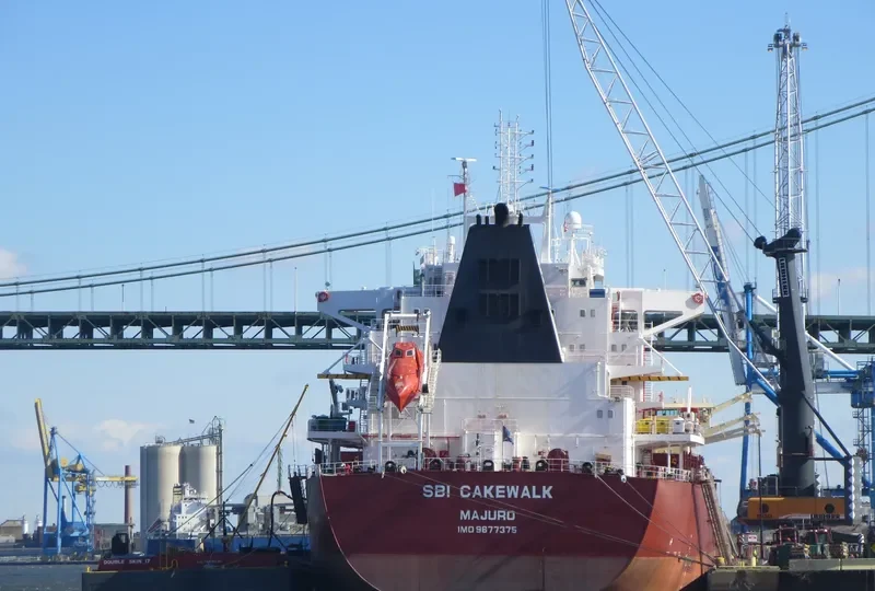 MATISSE Bulk Carrier IMO 9677375