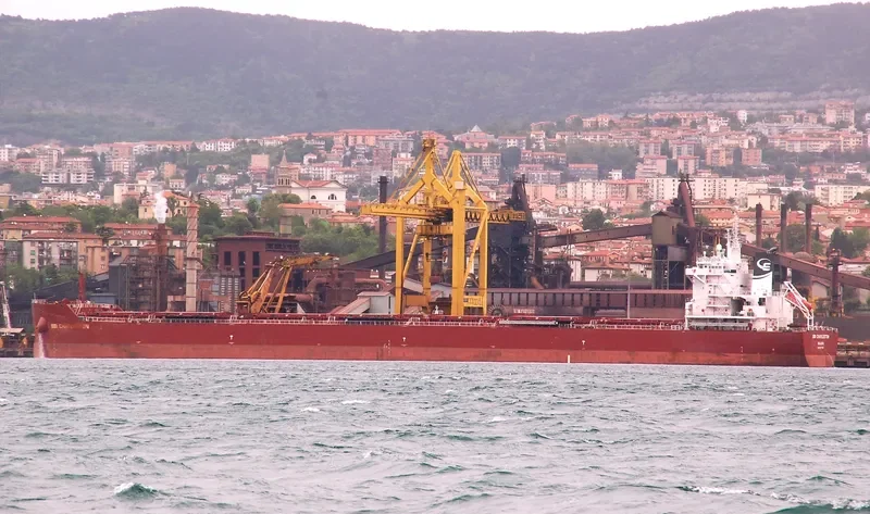 VALADON Bulk Carrier IMO 9677387 photo 2