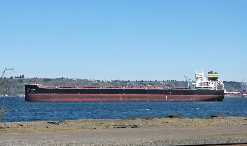 VALADON Bulk Carrier IMO 9677387 photo 5