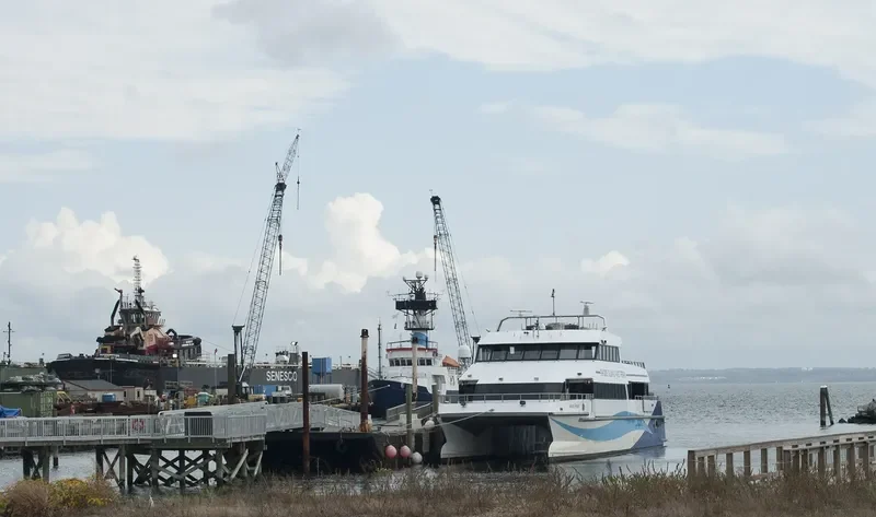 AVA PEARL Passenger Ship IMO 9677703 photo 5