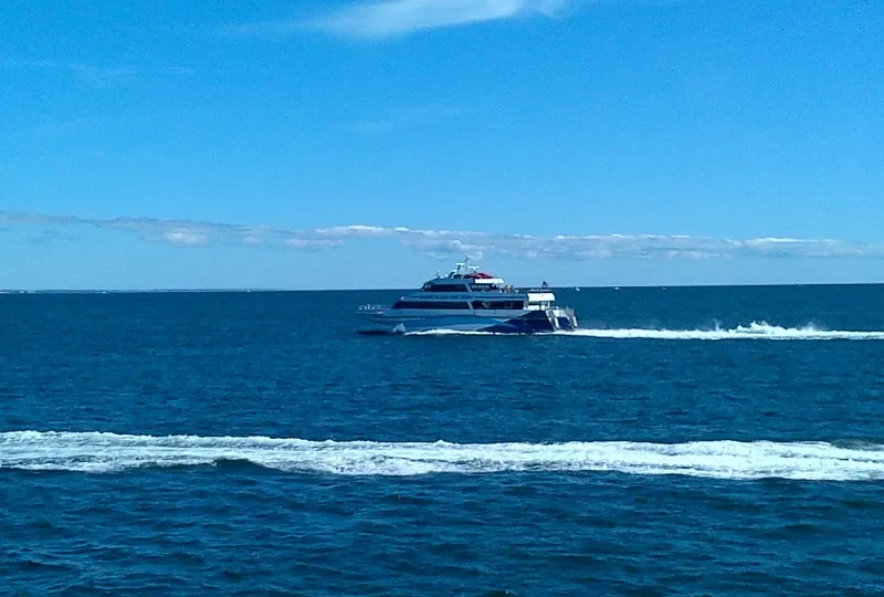 AVA PEARL Passenger Ship IMO 9677703 photo 6