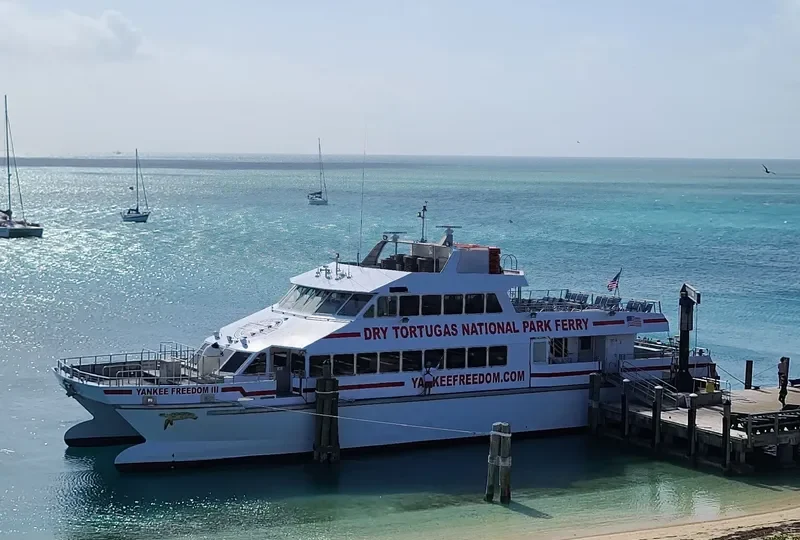 YANKEE FREEDOM III Passenger Ship IMO 9677715 photo 8