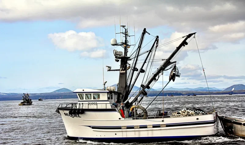 SEQUEL General Cargo IMO 9677856 photo 2