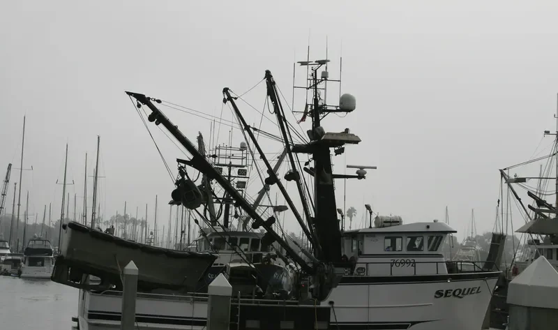 SEQUEL General Cargo IMO 9677856 photo 5
