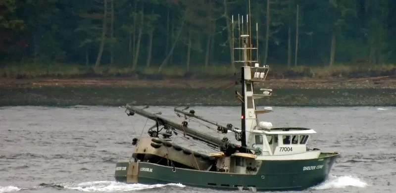 SHELTER COVE General Cargo IMO 9677868