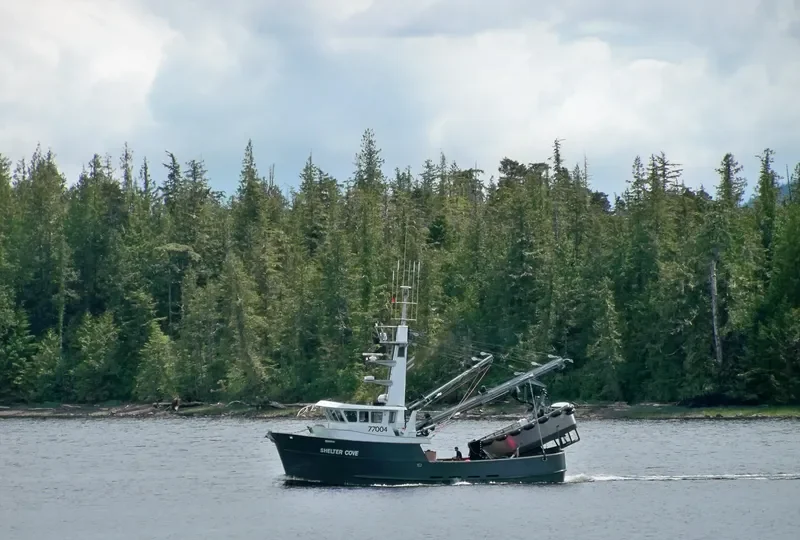SHELTER COVE General Cargo IMO 9677868 photo 2