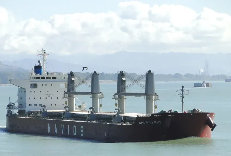 NAVIOS LA PAIX Bulk Carrier IMO 9678329 photo 3