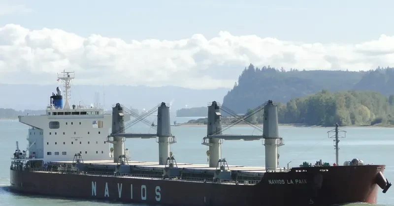 NAVIOS LA PAIX Bulk Carrier IMO 9678329 photo 6