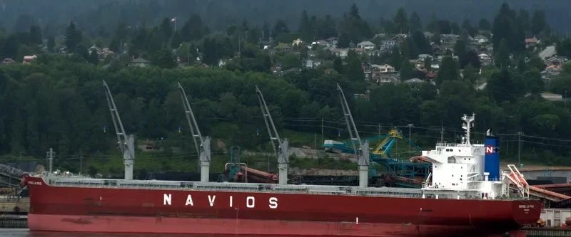 NAVIOS LA PAIX Bulk Carrier IMO 9678329 photo 8
