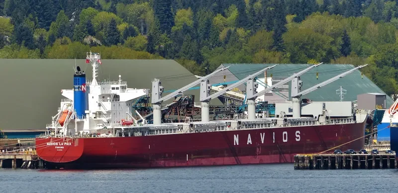 NAVIOS LA PAIX Bulk Carrier IMO 9678329 photo 9