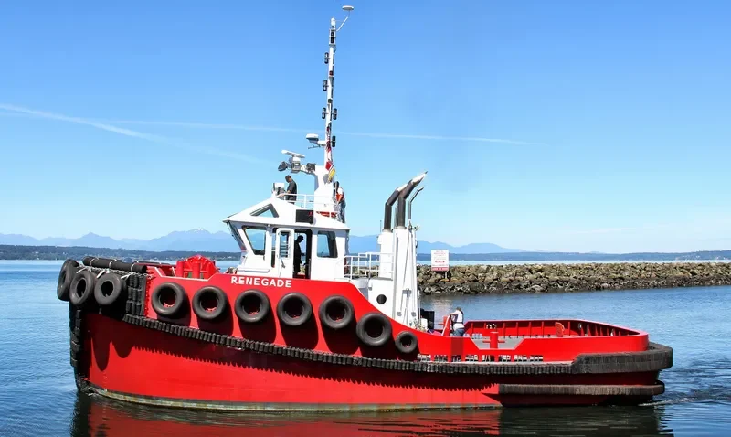 RENEGADE General Cargo IMO 9678379