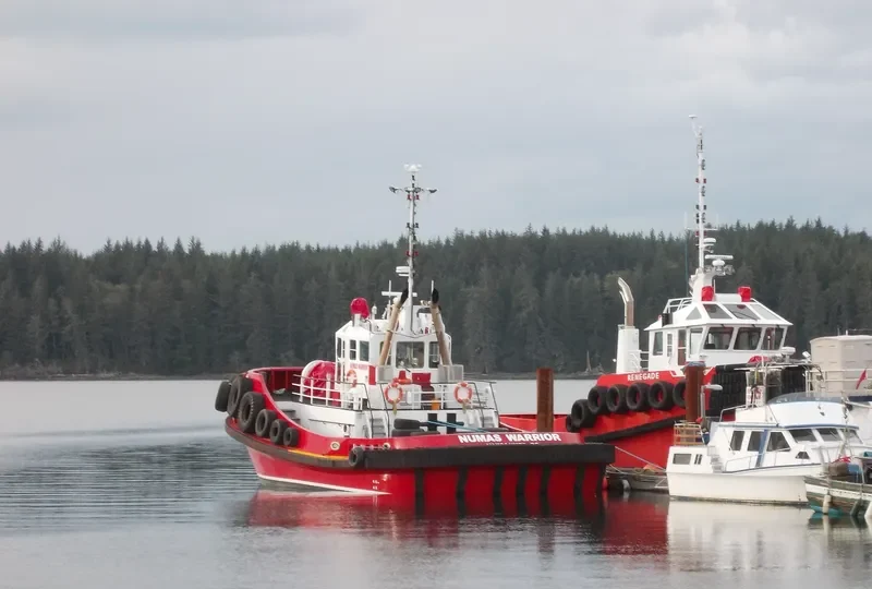 RENEGADE General Cargo IMO 9678379 photo 2