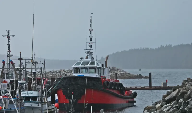 RENEGADE General Cargo IMO 9678379 photo 3