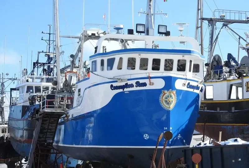 CONCEPTION RUN General Cargo IMO 9678410