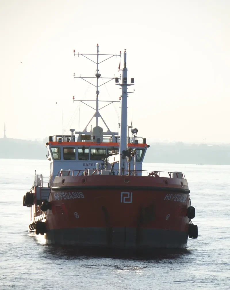 HS PEGASUS General Cargo IMO 9678460 photo 2