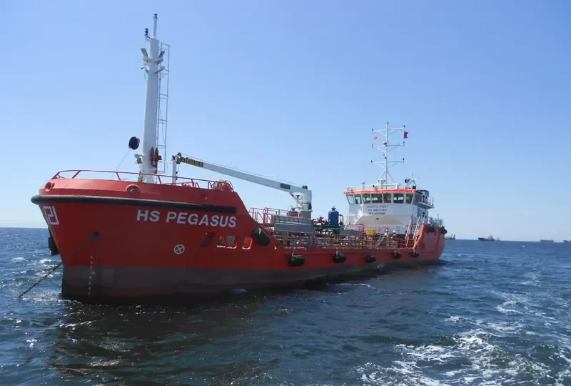 HS PEGASUS General Cargo IMO 9678460 photo 3