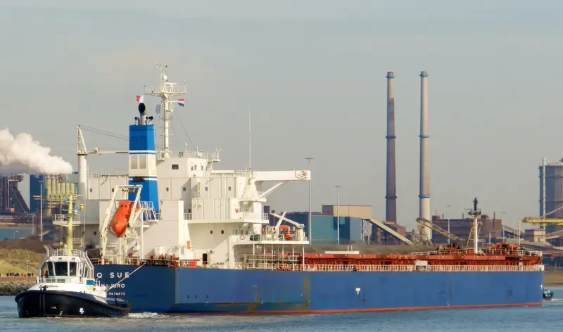 GOLDEN SUE Bulk Carrier IMO 9678472 photo 2