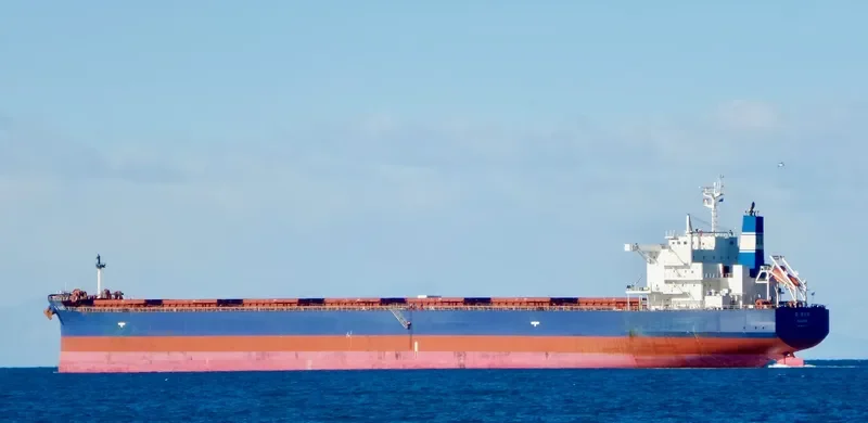 GOLDEN SUE Bulk Carrier IMO 9678472 photo 3