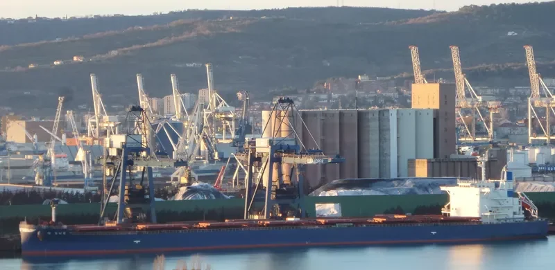 GOLDEN SUE Bulk Carrier IMO 9678472 photo 7