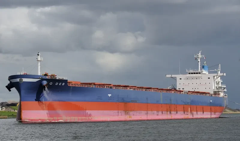 GOLDEN DEB Bulk Carrier IMO 9678484 photo 2