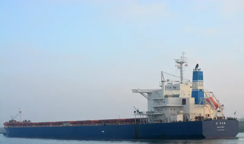 GOLDEN DEB Bulk Carrier IMO 9678484 photo 6