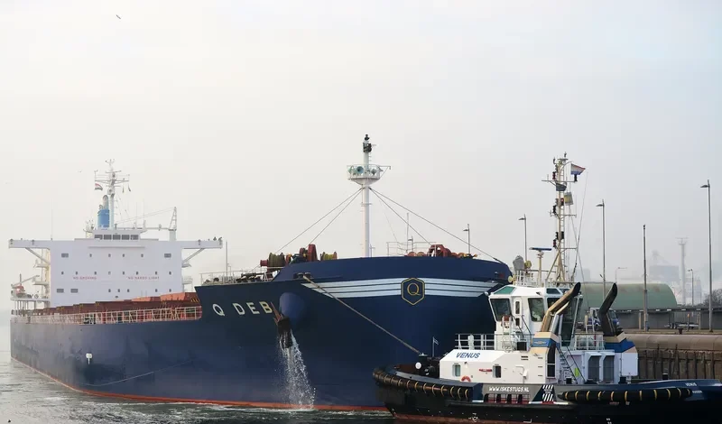 GOLDEN DEB Bulk Carrier IMO 9678484 photo 7