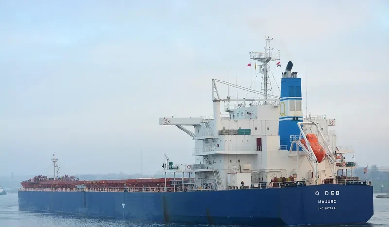 GOLDEN DEB Bulk Carrier IMO 9678484 photo 8