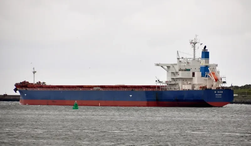 GOLDEN DEB Bulk Carrier IMO 9678484 photo 9