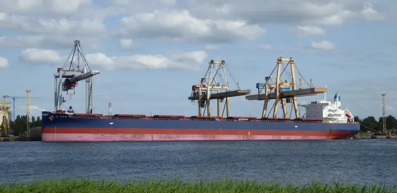 GOLDEN DEB Bulk Carrier IMO 9678484 photo 10