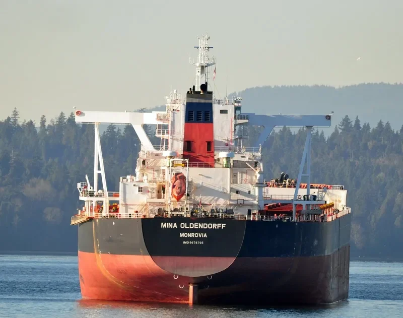 MINA OLDENDORFF Bulk Carrier IMO 9678795 photo 8