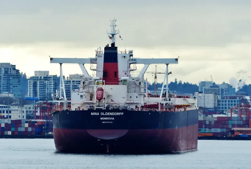 MINA OLDENDORFF Bulk Carrier IMO 9678795 photo 9